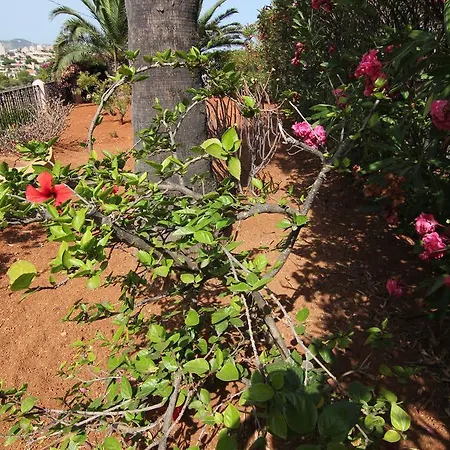 Maryvilla 231 * Calpe