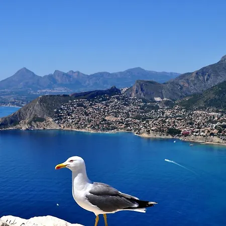 Maryvilla 231 Villa Calpe