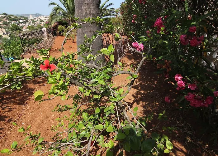 Maryvilla 231 * Calp