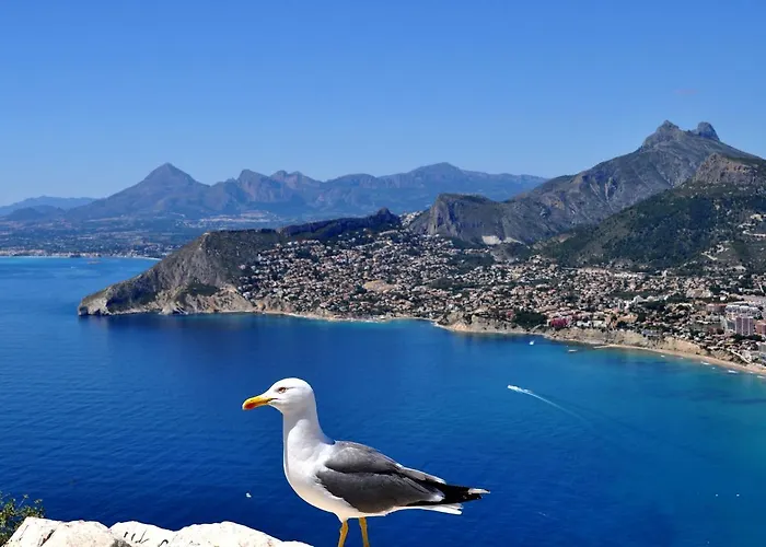 Maryvilla 231 Villa Calp